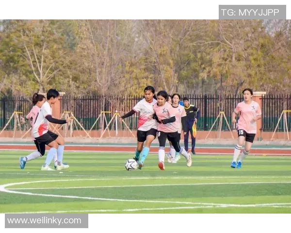 追寻绿茵梦想的少年们因为足球小将球星的热血传奇 追寻绿茵梦想的少年们因为足球小将球星的热血传奇