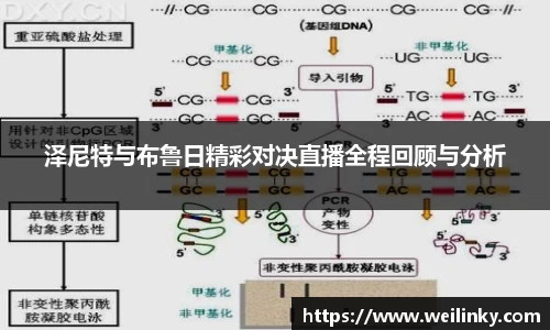 泽尼特与布鲁日精彩对决直播全程回顾与分析